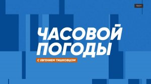 Часовой погоды | 19 декабря 2024 года