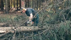 На что способна бензопила Stihl MS 250 C