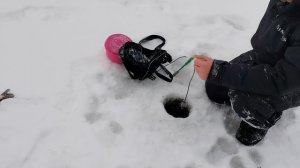 Обзор поимок с дальней части водоема