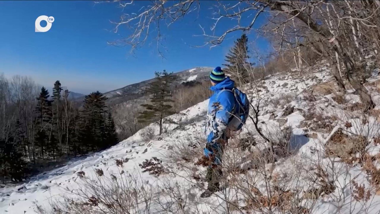 Разведка блогом / На вершине воробья / 19.12.24