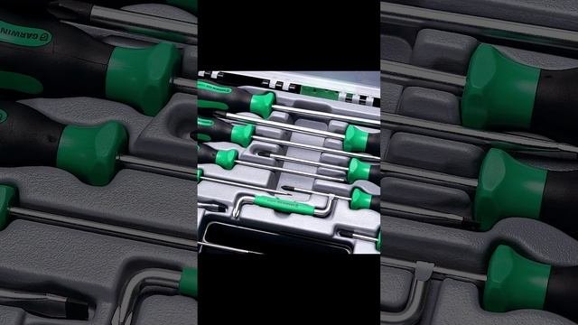 Набор отверток профессиональных, 12 предметов, PH и SL, пластиковый кейс. GARWIN PRO 636025