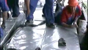 Разгрузка ЦСП