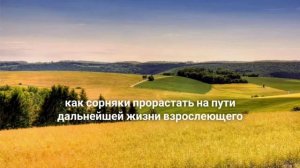 Беседа с Мирославой Васильевной.
О чем нужно знать каждому родителю. Первостепенные  задачи.