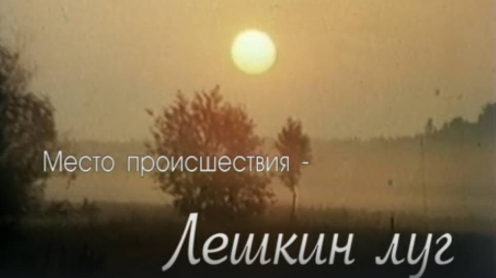 Докум. телероман 