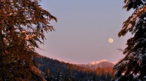 Лекция 14. Дама черв. Для 29 июля, 27 августа, 25 сентября, 23 октября, 21  ноября, 19 декабря.