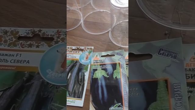 Когда буду сеять баклажаны на рассаду