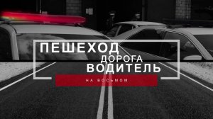 Программа "Пешеход. Дорога. Водитель." на 8 канале. Выпуск 15