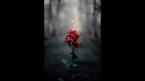 глаза карие карие (slowed reverb)