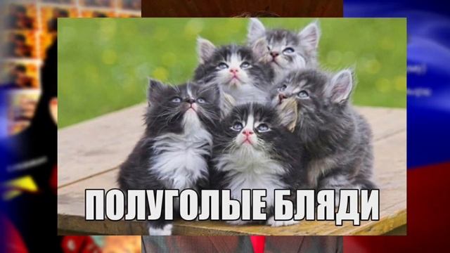 АРТЕМ ГРАФ - ГЕНИЙ ЮТУБА