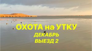 ОХОТА на УТКУ декабрь выезд 2