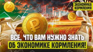 Все, что вам нужно знать об экономике кормления!