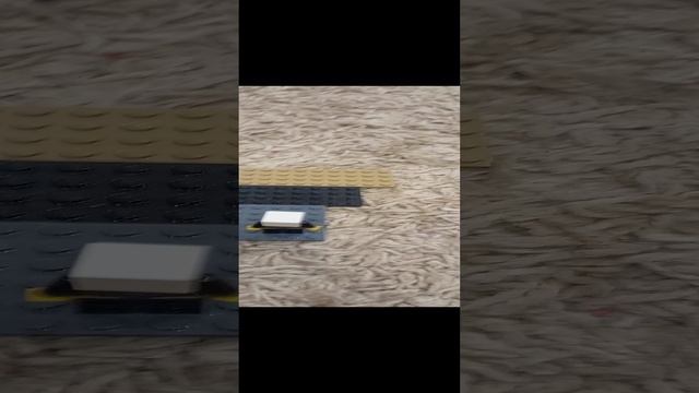 1000007893.mp4