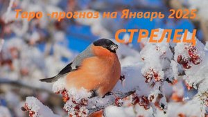 Таро-прогноз на ЯНВАРЬ 2025 для людей, родившихся под знаком зодиака СТРЕЛЕЦ
