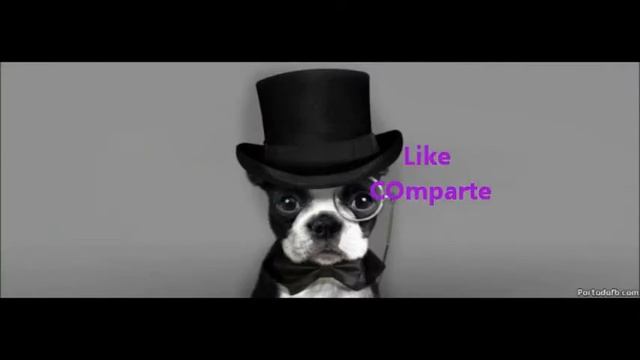 Intro Youtube Papier LP смотреть онлайн