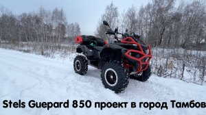 Stels Guepard 850 Проект в город Тамбов 🔥