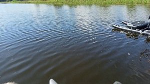 Водные велосипеды с детьми 03.08.2024