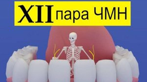 Подъязычный нерв | Путь от мозга (схематично) | Medanatfarm