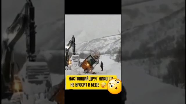 Друг в беде не бросит