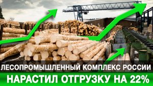 Лесопромышленный комплекс России нарастил отгрузку на 22%