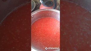 зверобой из помидор#лайк #коментарий #оценкаканала #рек