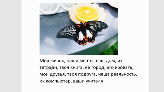 Французский язык по интересным цитатам, часть третья, наши мечты и притяжательные прилагательные