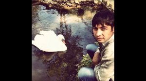 Шамиль Байчоров