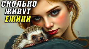 Сколько живут ежики. Сколько живут домашние ежики