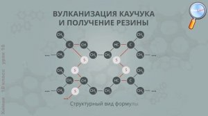 Химия 10 класс Урок№16 Натуральный каучук Синтетические каучуки