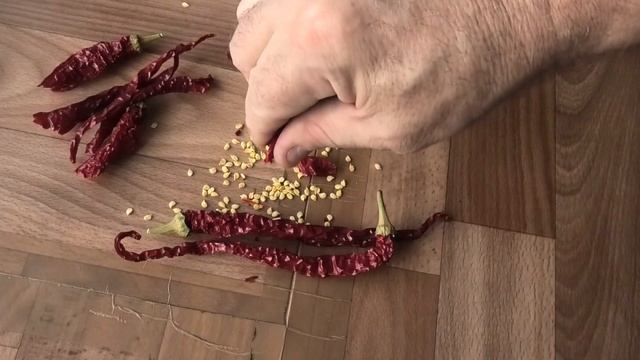 Необычный способ заготовки семян перцев
