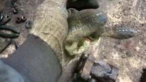 ваз 2109меняю стойку переднюю и все ставлю новое, прессую подшипники!!!