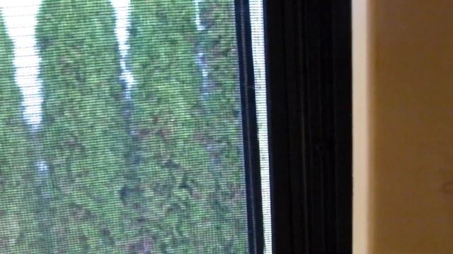 RV Snowbird Fail! Managing Short RV Winter Camping Trips