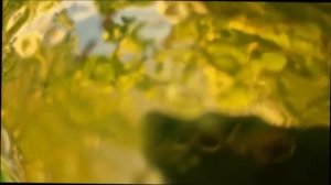 Золочение по камню, 5