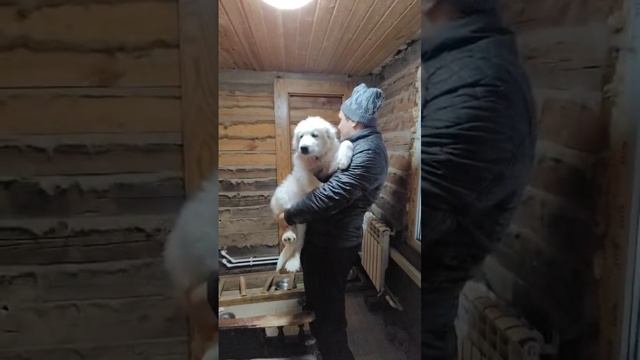1000012536.mp4