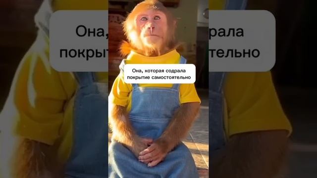 Как ведут себя клиенты, которые пришли без покрытия)