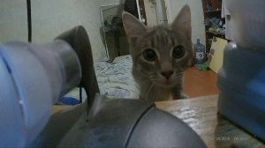 А ну камеру выруби!!