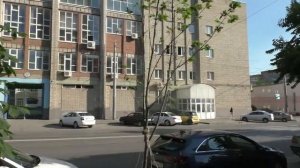 Как прижились деревья посаженные в декабре на Горького