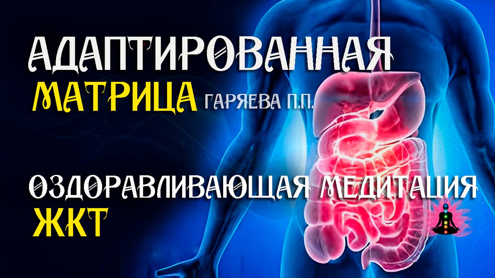 ЖКТ  🌀 Адаптированная матрица Гаряева П.П.  ☀️ SoftRadio.ru