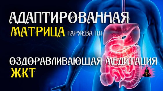 Антипаразитарная программа гаряева. Антипаразитарная программа гаряева