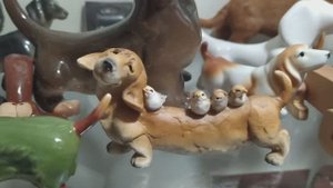 35. Моя коллекция такс