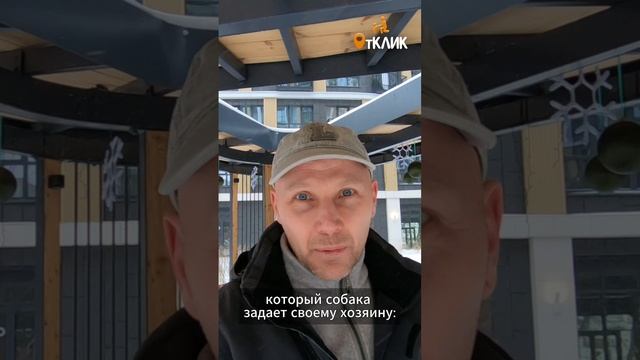 Угощение собаке "ни за что"?!