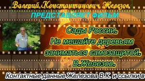 Сады России. Не мешайте деревьям заниматься самозащитой. В.Железов.