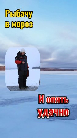 Рыбачила в мороз, клёв отличный.