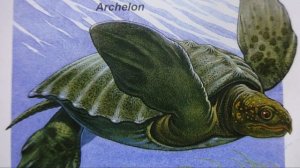 Хищники Юрского периода, распаковка №2. Кто же попадется?