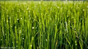 770 О снах 30.08.2023 г