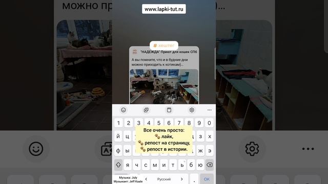 помощь приюту
