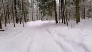 Карабин ВССЛ 366 ТКМ. Стрельба на 155 метров.