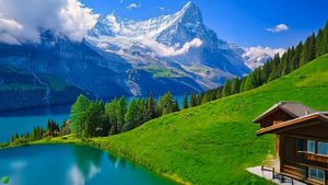 Расслабляющая фортепианная музыка 🌿Послушайте эту музыку, и вы почувствуете себя лучше #1