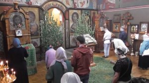 Служба на Троицу 07 06 2020