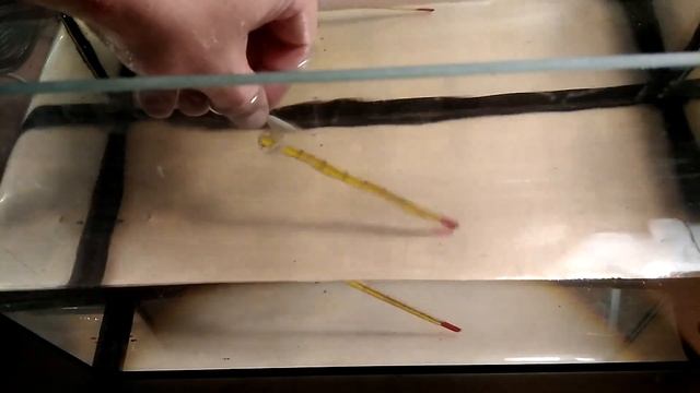 Охладитель аквариума c ozon или aliexpress смотреть онлайн