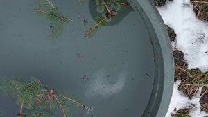 Чистка в потоке, снимаем порчи сделанные мастерами.
